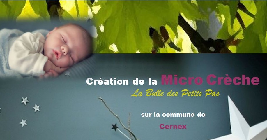 micro crche