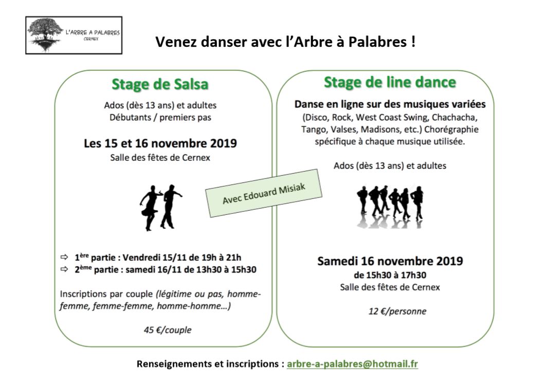 stage danse AAP nov 2019
